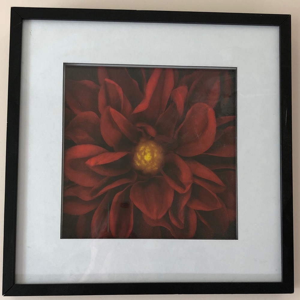 Framed Red Flower Art Print
